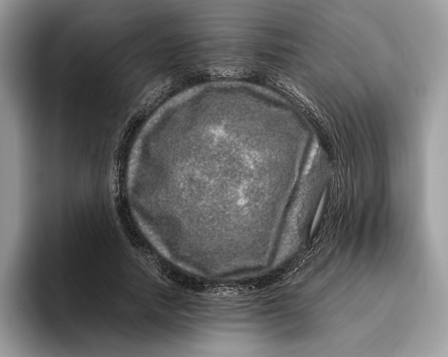 X0000095950738200802011101