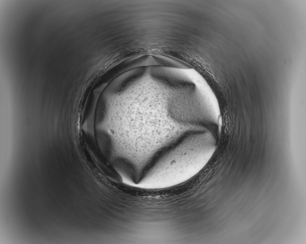 X0000095950740200802011101