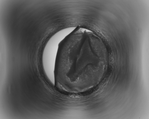 X0000095950742200802011101