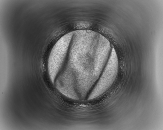 X0000095950743200802011101