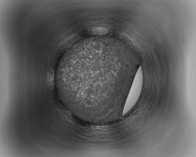 X0000095950745200802011101