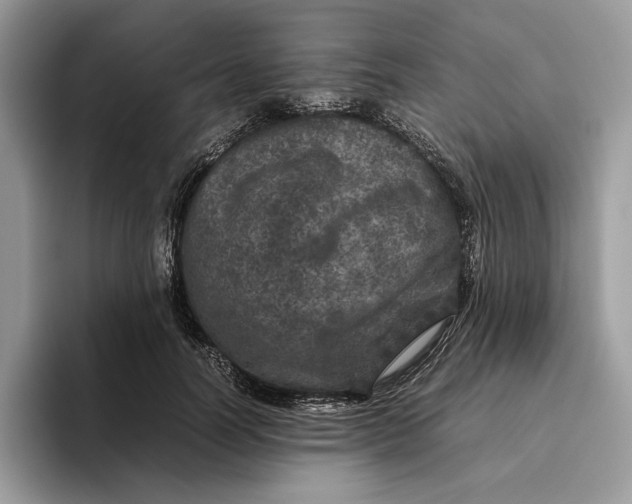 X0000095950746200802011101