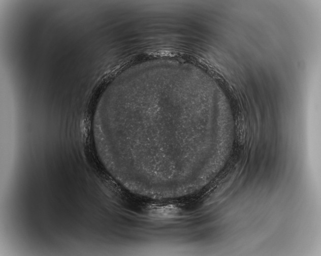 X0000095950747200802011101