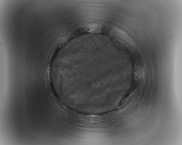 X0000095950748200802011101