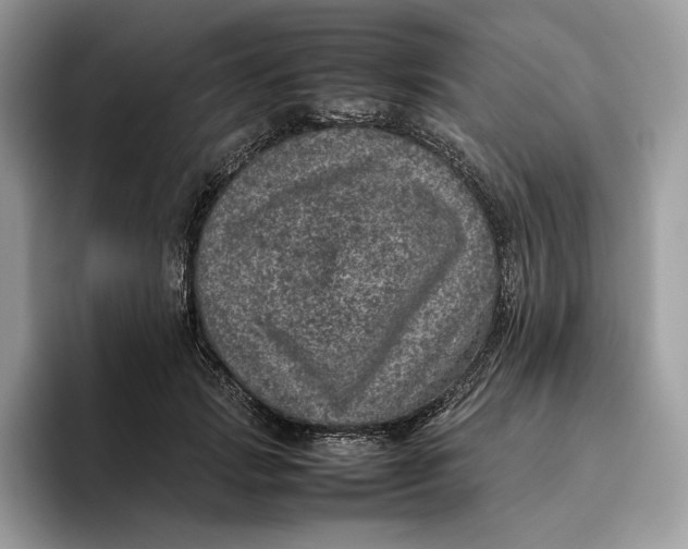 X0000095950749200802011101