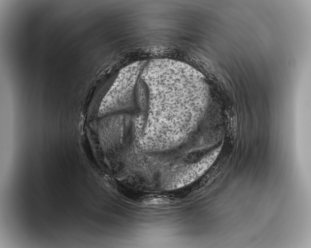 X0000095950750200802011101