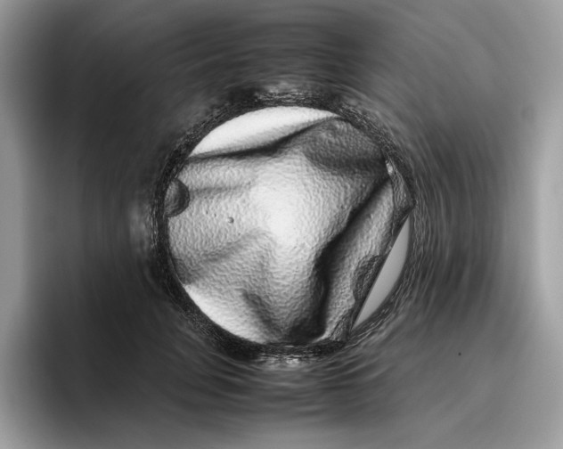 X0000095950751200802011101