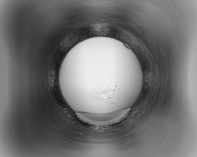 X0000095950752200802011101