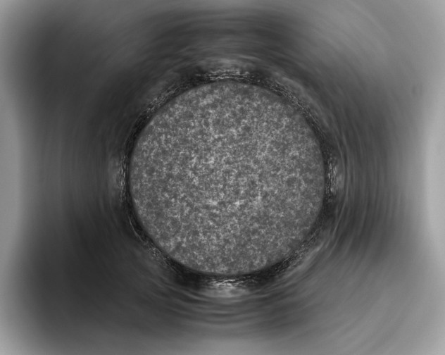 X0000095950753200802011101