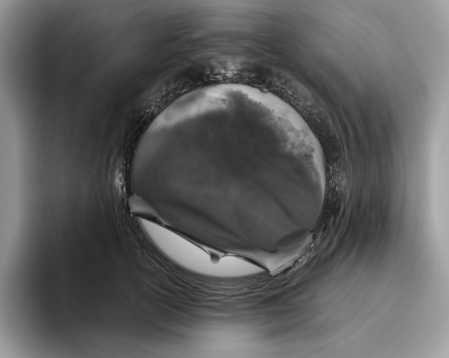 X0000095950754200802011101