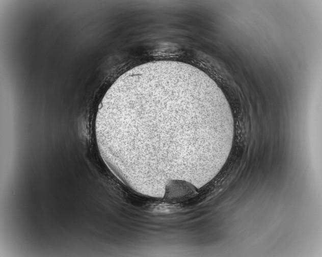 X0000095950755200802011101