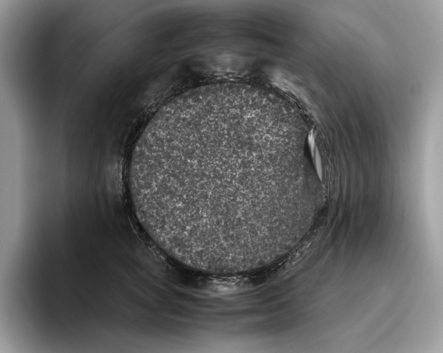 X0000095950757200802011101