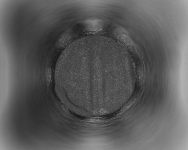 X0000095950758200802011101