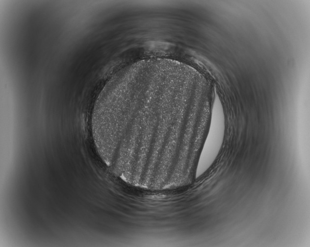 X0000095950759200802011101