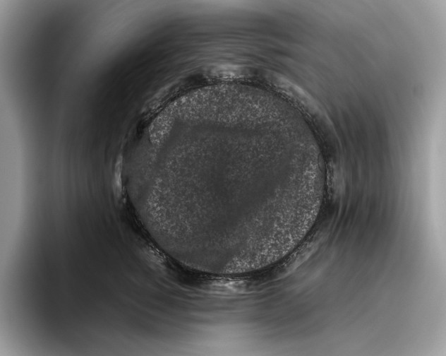 X0000095950760200802011101