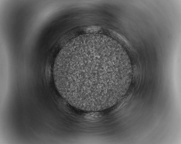 X0000095950761200802011101