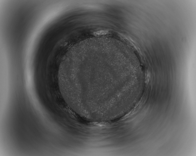 X0000095950763200802011101