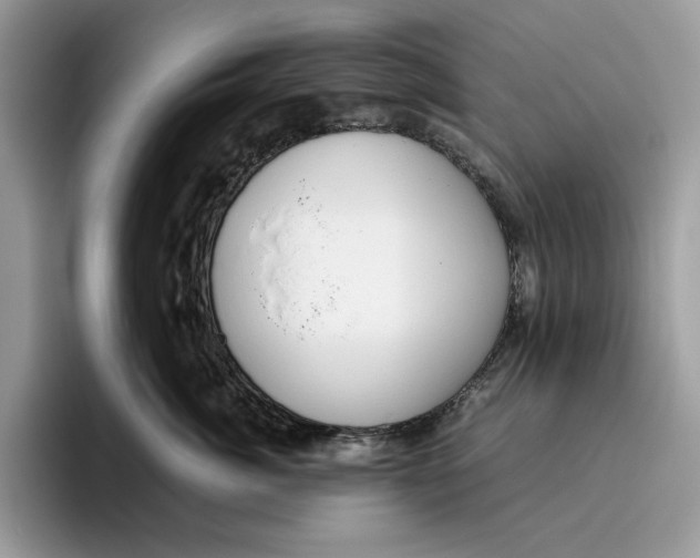 X0000095950764200802011102