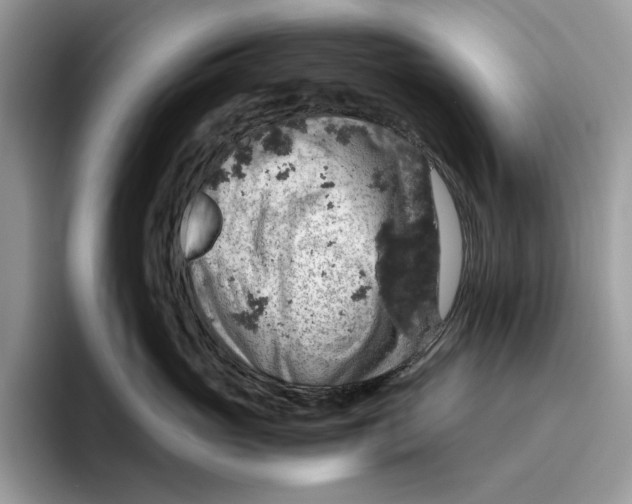 X0000095950765200802011102