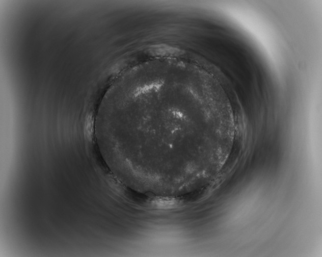 X0000095950767200802011102