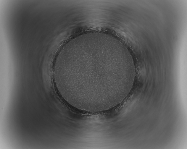 X0000095950769200802011101