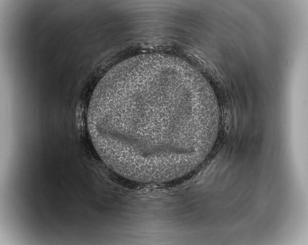 X0000095950770200802011101