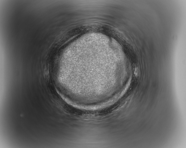 X0000095950771200802011101