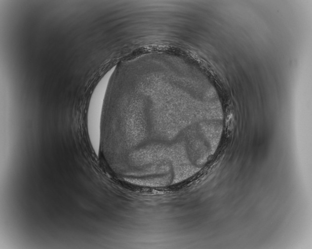 X0000095950772200802011101