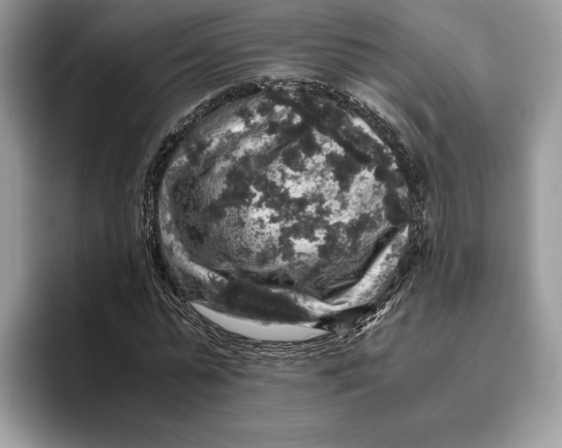 X0000095950775200802011101