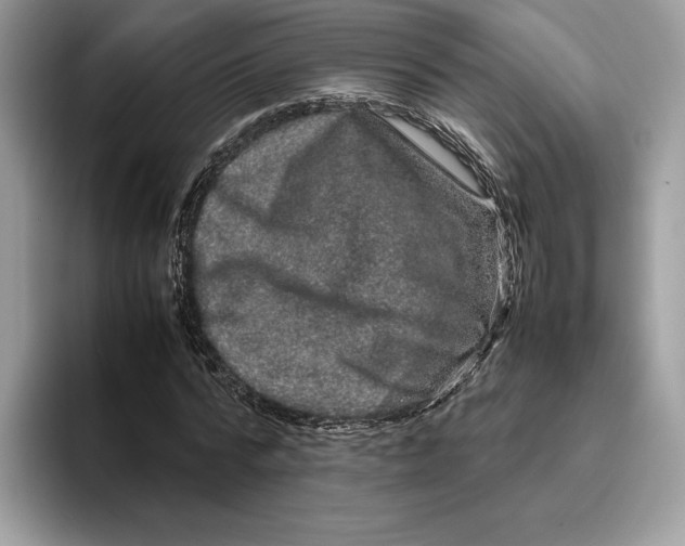 X0000095950776200802011101