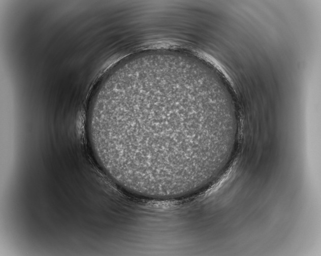 X0000095950778200802011101