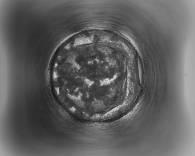 X0000095950779200802011101