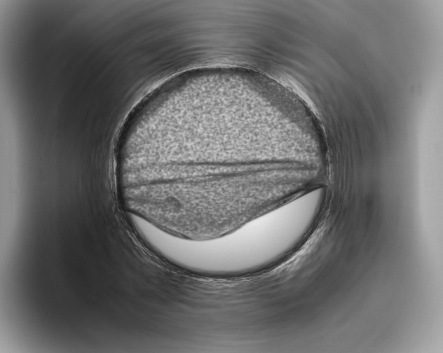 X0000095950781200802011101