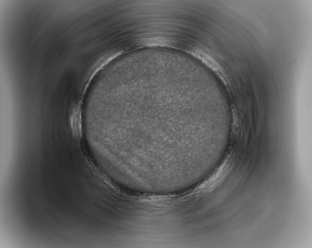 X0000095950782200802011101