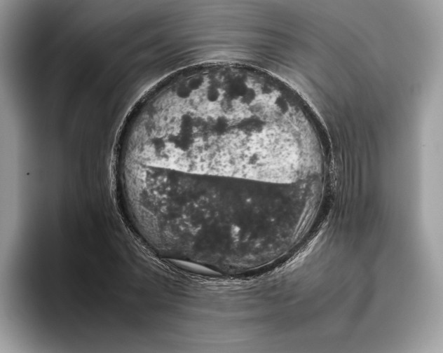 X0000095950783200802011101