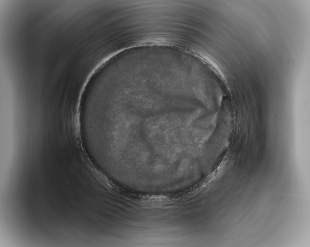 X0000095950784200802011101