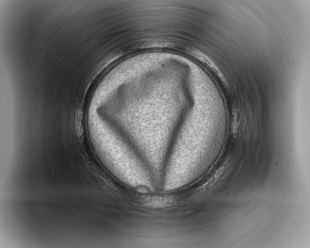 X0000095950786200802011101