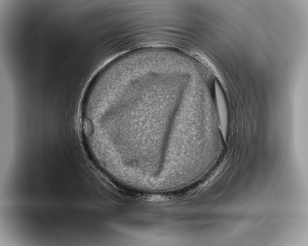 X0000095950787200802011101