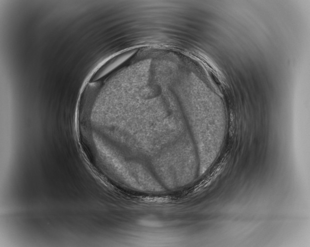 X0000095950788200802011101