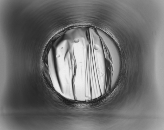 X0000095950789200802011101