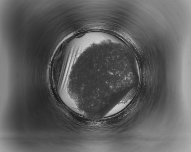 X0000095950790200802011101