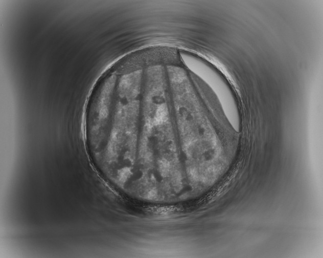 X0000095950791200802011101