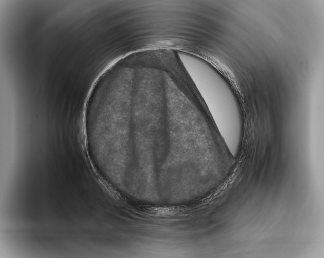 X0000095950792200802011101