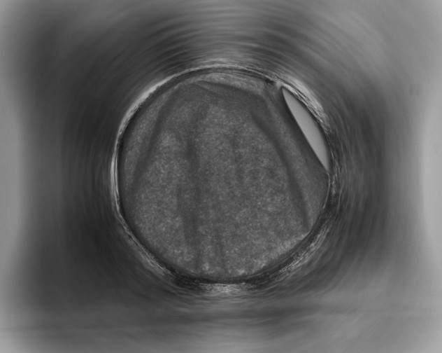 X0000095950796200802011101