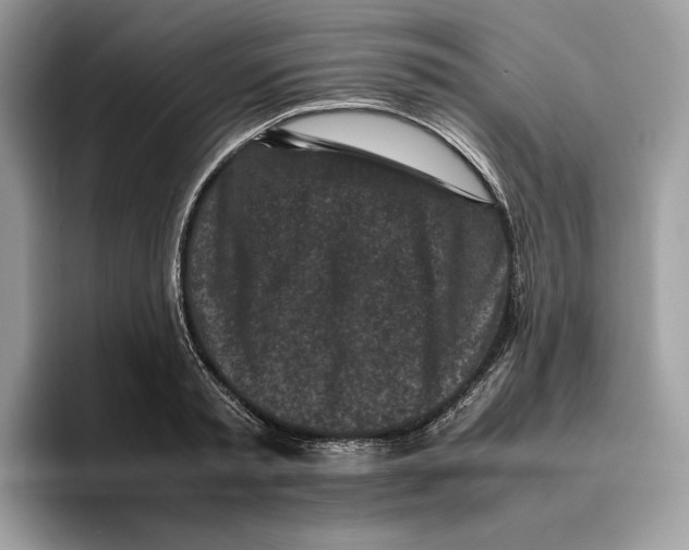 X0000095950797200802011101