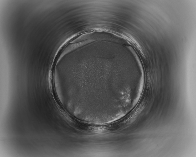 X0000095950798200802011101