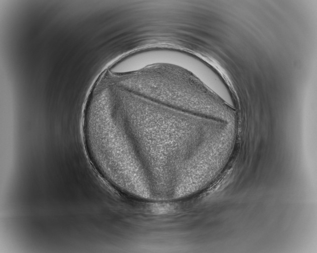 X0000095950799200802011101