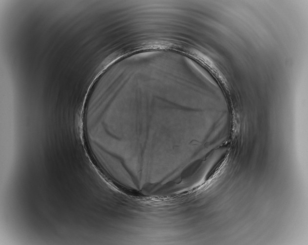 X0000095950802200802011101