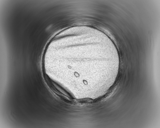 X0000095950803200802011100