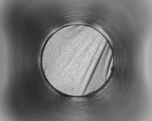 X0000095950805200802011100